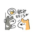 柴犬のコタロウです。（個別スタンプ：22）