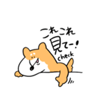 柴犬のコタロウです。（個別スタンプ：24）