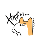 柴犬のコタロウです。（個別スタンプ：26）