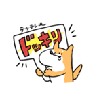 柴犬のコタロウです。（個別スタンプ：31）