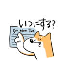 柴犬のコタロウです。（個別スタンプ：34）
