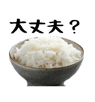 お米のスタンプ。(毎日すごーい使える返信)（個別スタンプ：13）