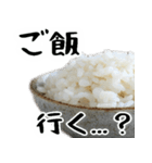 お米のスタンプ。(毎日すごーい使える返信)（個別スタンプ：17）
