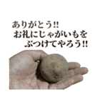 全てを肯定するじゃがいも（個別スタンプ：6）