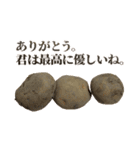 全てを肯定するじゃがいも（個別スタンプ：8）