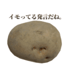 全てを肯定するじゃがいも（個別スタンプ：32）