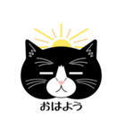 猫のサンパ（個別スタンプ：1）