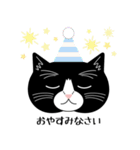 猫のサンパ（個別スタンプ：2）