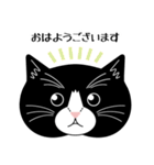 猫のサンパ（個別スタンプ：3）