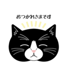 猫のサンパ（個別スタンプ：4）