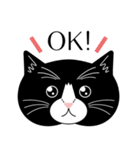 猫のサンパ（個別スタンプ：5）