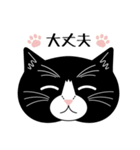 猫のサンパ（個別スタンプ：6）
