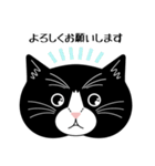 猫のサンパ（個別スタンプ：7）
