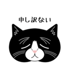 猫のサンパ（個別スタンプ：10）