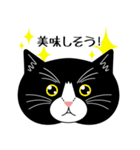 猫のサンパ（個別スタンプ：13）