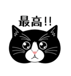 猫のサンパ（個別スタンプ：14）
