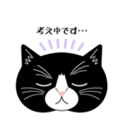 猫のサンパ（個別スタンプ：15）