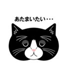 猫のサンパ（個別スタンプ：17）