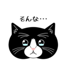 猫のサンパ（個別スタンプ：18）