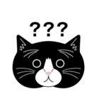 猫のサンパ（個別スタンプ：19）