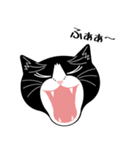 猫のサンパ（個別スタンプ：20）