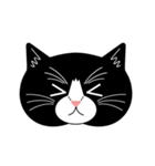 猫のサンパ（個別スタンプ：22）