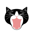 猫のサンパ（個別スタンプ：23）