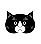 猫のサンパ（個別スタンプ：24）