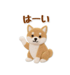 毎日使える柴犬のグルメスタンプ（個別スタンプ：9）