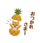 毎日使える柴犬のグルメスタンプ（個別スタンプ：10）