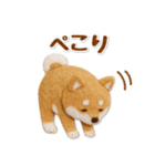 毎日使える柴犬のグルメスタンプ（個別スタンプ：19）