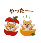 毎日使える柴犬のグルメスタンプ（個別スタンプ：24）