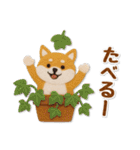 毎日使える柴犬のグルメスタンプ（個別スタンプ：33）