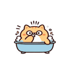 お風呂猫 来たよ,（個別スタンプ：19）