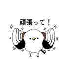 よろしく、シマエナガ（個別スタンプ：4）