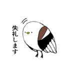 よろしく、シマエナガ（個別スタンプ：6）