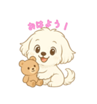 マルチーズくんとくまちゃん（個別スタンプ：1）