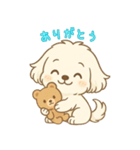 マルチーズくんとくまちゃん（個別スタンプ：5）