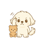 マルチーズくんとくまちゃん（個別スタンプ：6）