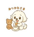 マルチーズくんとくまちゃん（個別スタンプ：10）