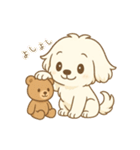 マルチーズくんとくまちゃん（個別スタンプ：19）