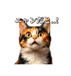 シュールなリアル猫のつぶやき(日常編)（個別スタンプ：1）
