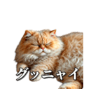 シュールなリアル猫のつぶやき(日常編)（個別スタンプ：4）