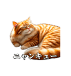 シュールなリアル猫のつぶやき(日常編)（個別スタンプ：5）