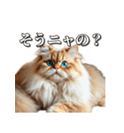 シュールなリアル猫のつぶやき(日常編)（個別スタンプ：6）