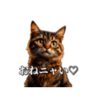 シュールなリアル猫のつぶやき(日常編)（個別スタンプ：7）