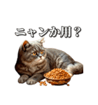 シュールなリアル猫のつぶやき(日常編)（個別スタンプ：9）