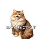 シュールなリアル猫のつぶやき(日常編)（個別スタンプ：11）