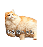 シュールなリアル猫のつぶやき(日常編)（個別スタンプ：12）