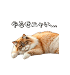 シュールなリアル猫のつぶやき(日常編)（個別スタンプ：14）